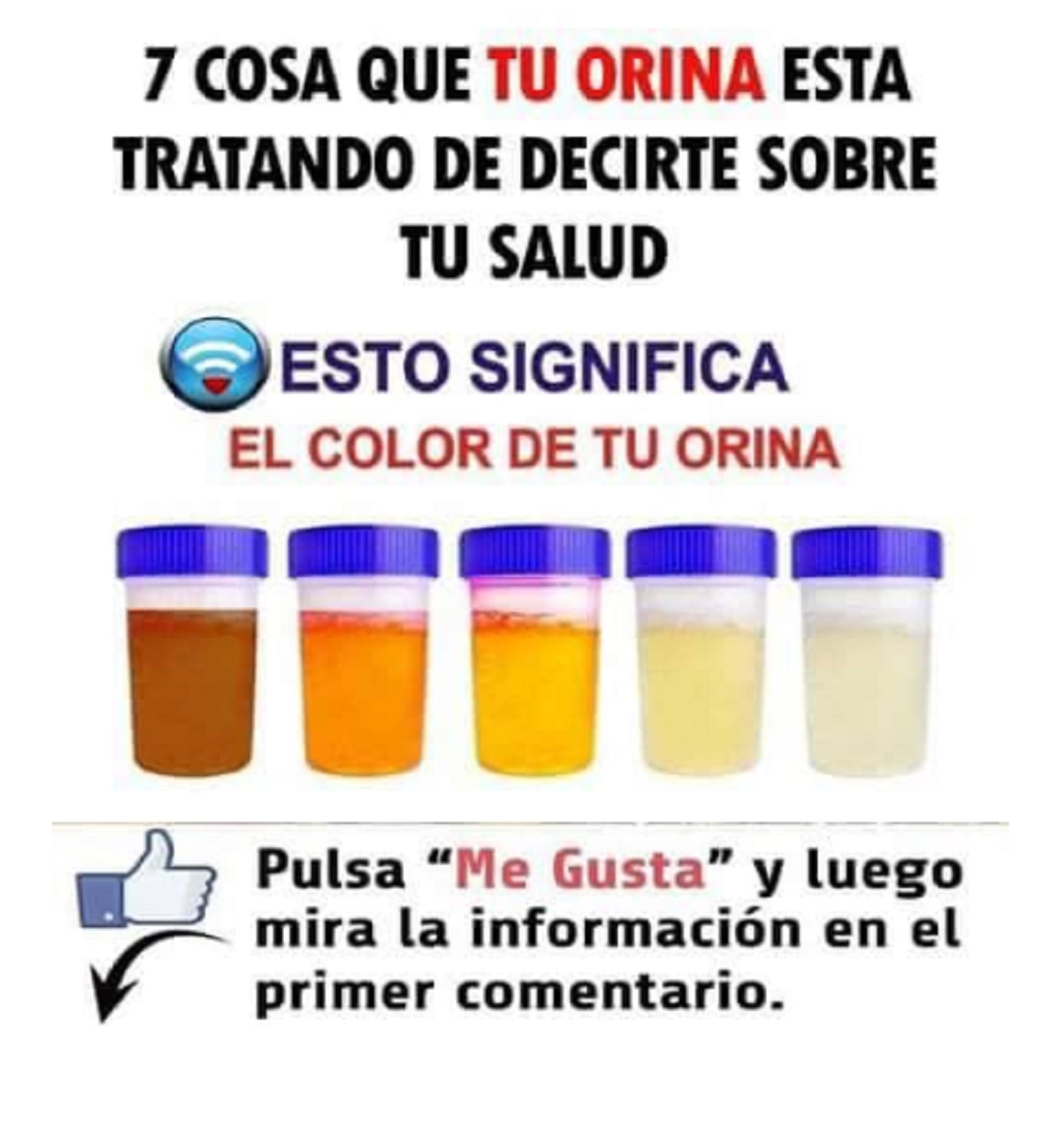 LO QUE DICE EL COLOR DE TU ORINA SOBRE TU SALUD - FabricaTuRemedio