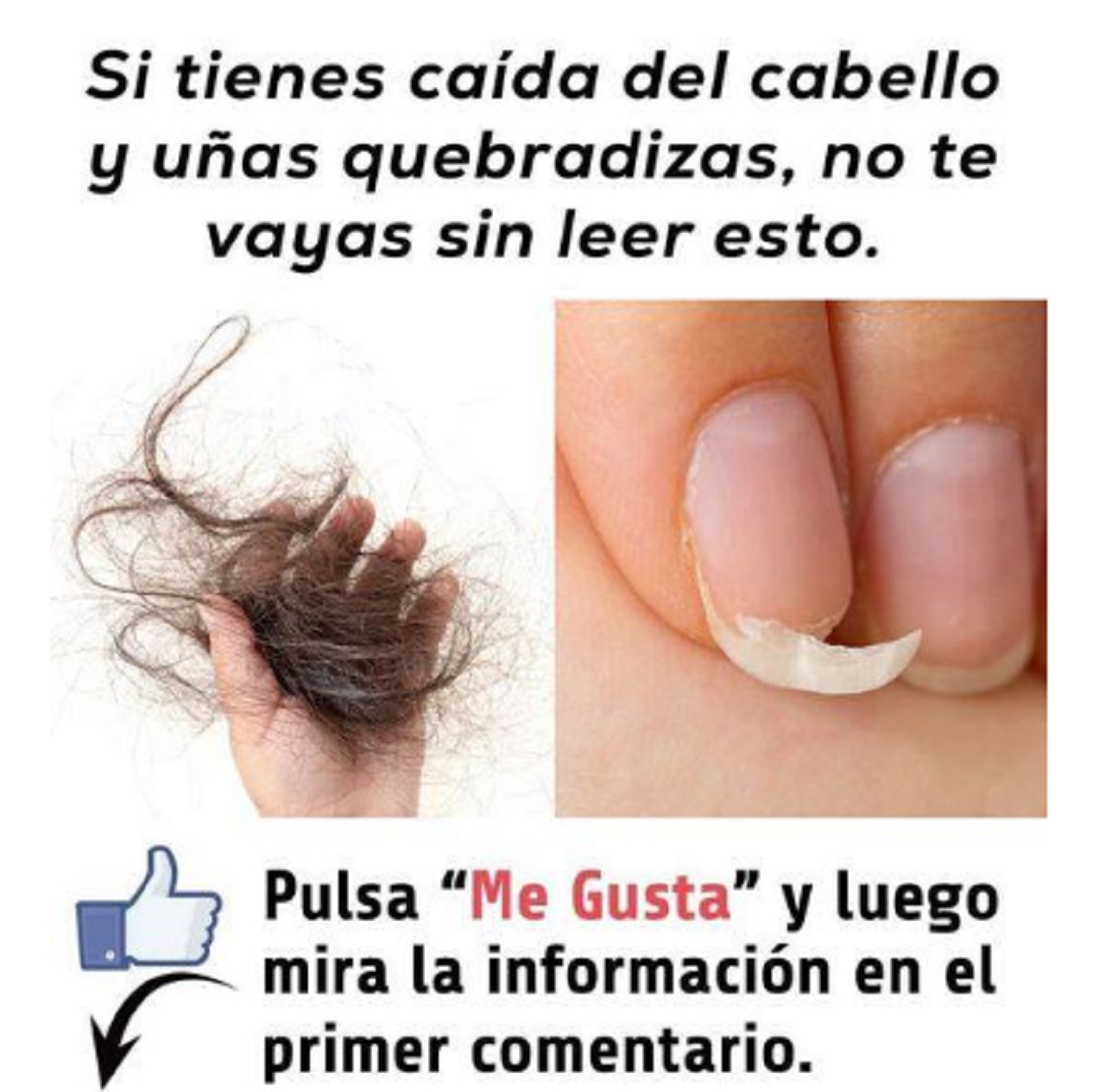 Aplica Esto En La Ra Z De Tu Cabello Y Mira C Mo Se Detiene La Ca Da Y